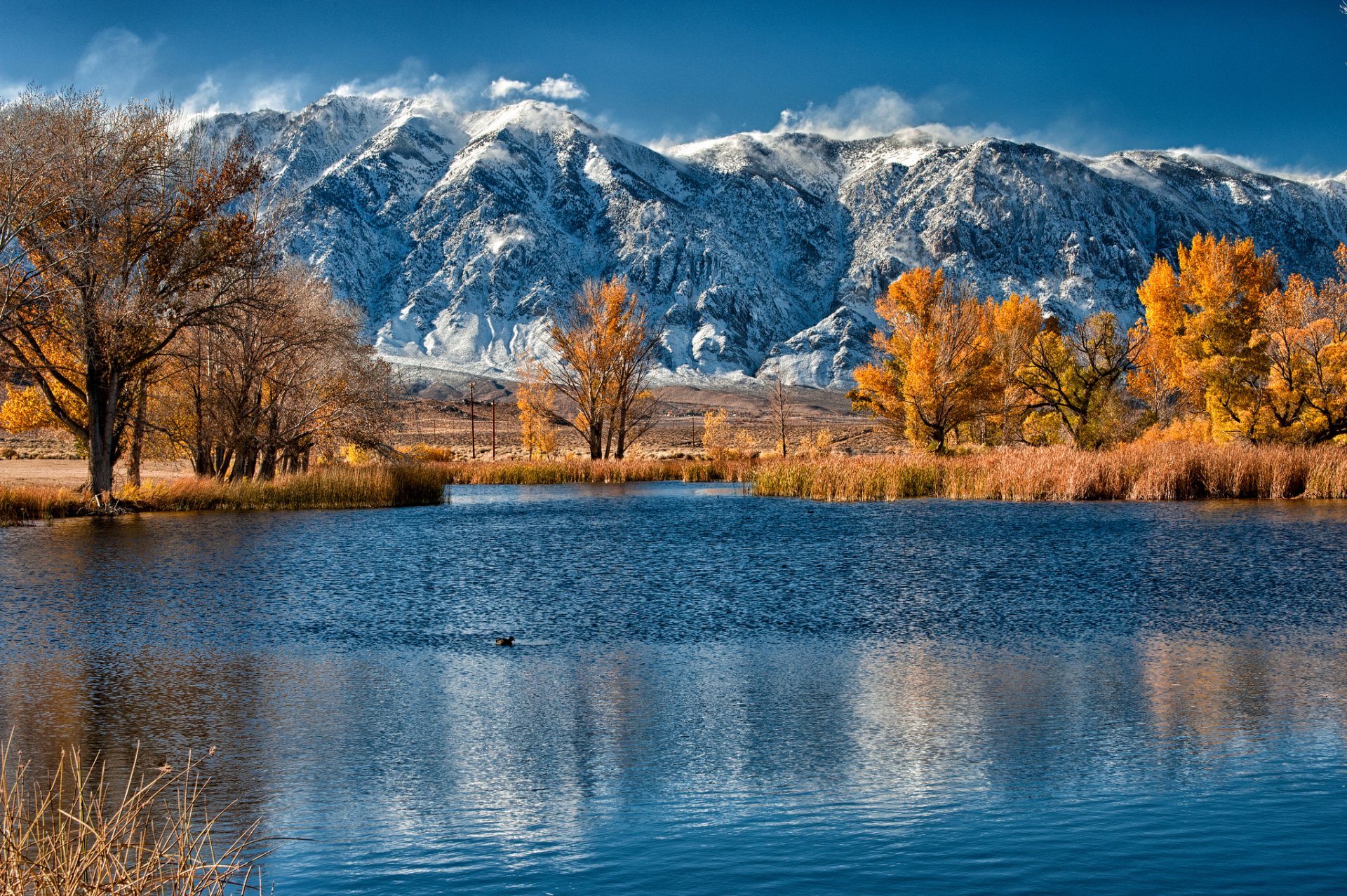 montagnes lac automne arbres roseaux