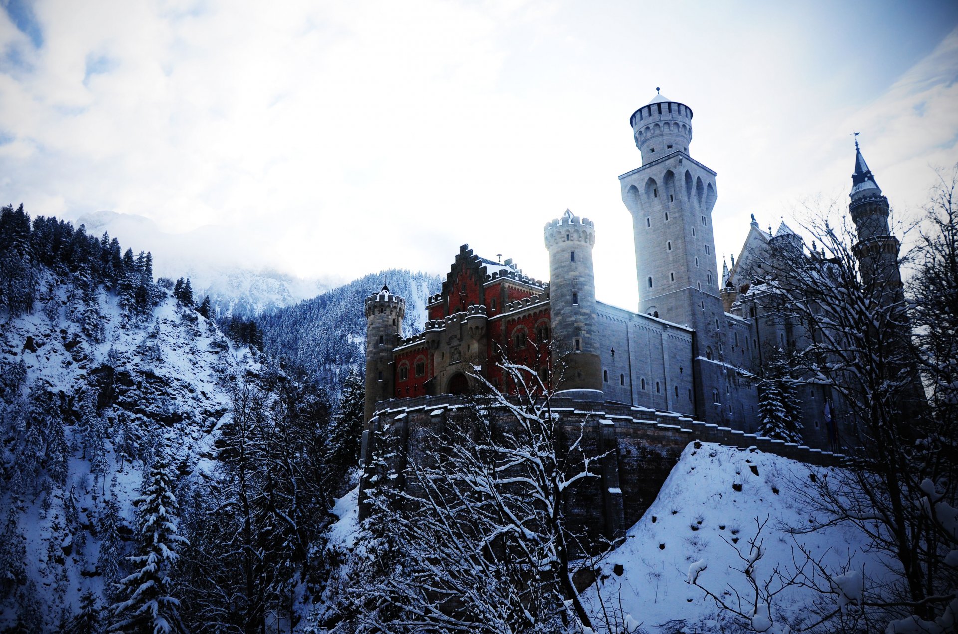 alemania baviera castillo de neuschwanstein-tesoro de los alpes montañas árboles invierno nieve