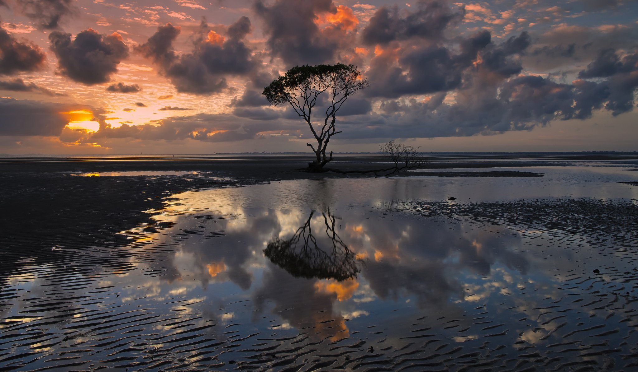 australia queensland cielo nubes nubes árbol agua reflexiones noche lizzie fotografía