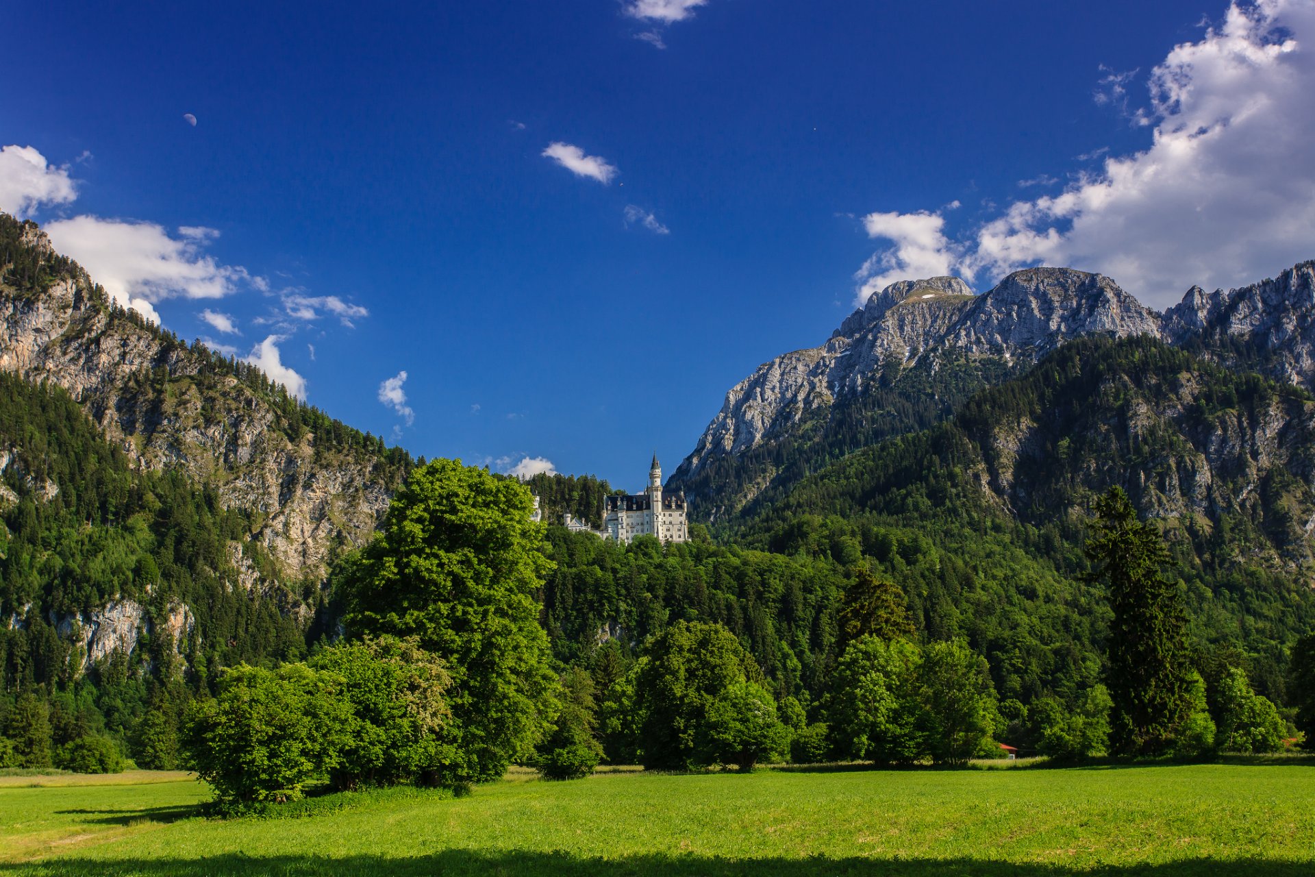 château de neuschwanstein bavière allemagne montagnes prairie arbres