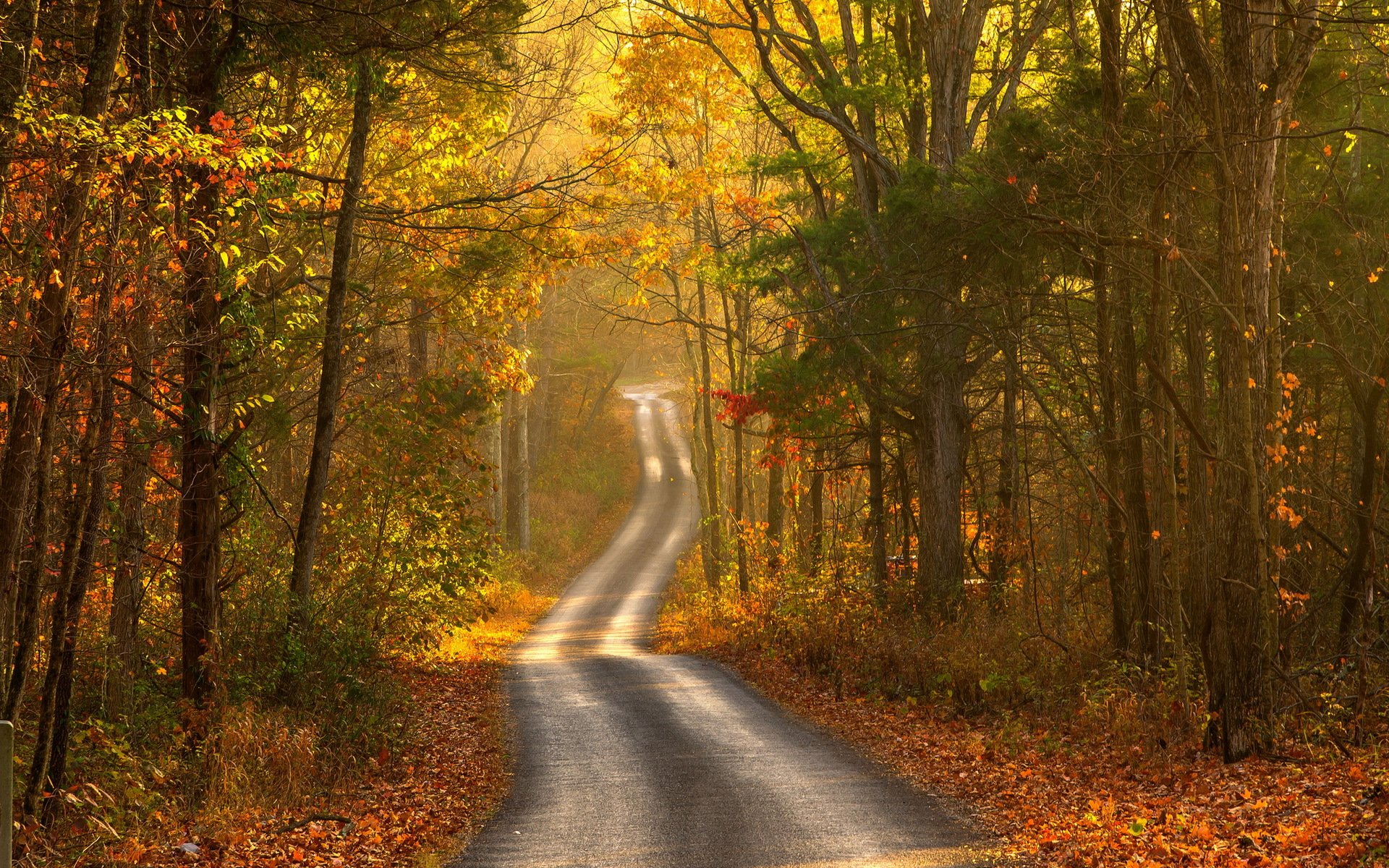 strada autunno paesaggio