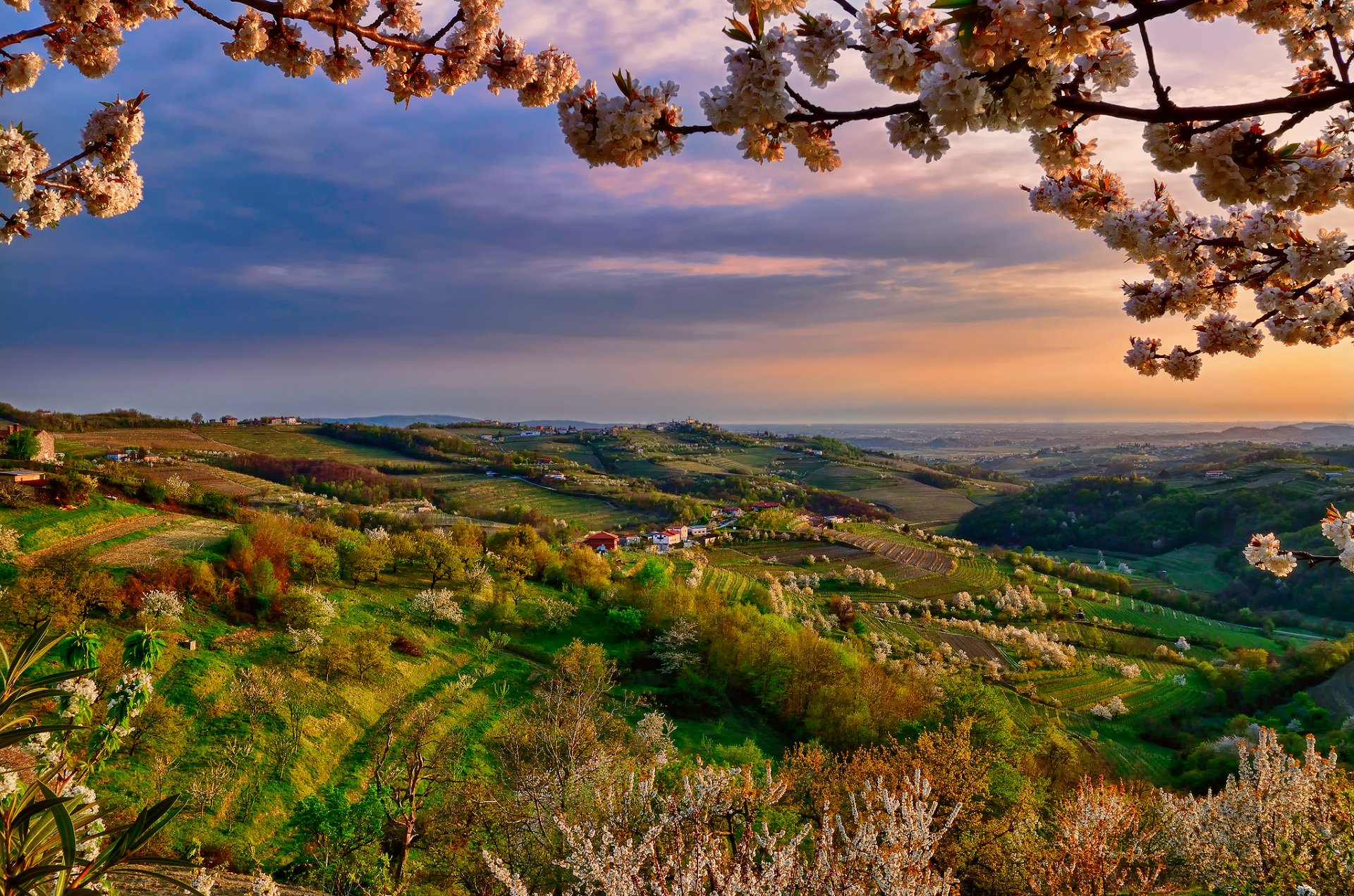 italia lombardia collio primavera aprile valle ramo colore sera