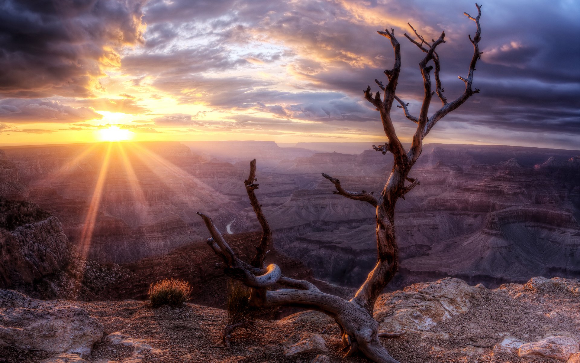 tramonto valle roccia albero sole arizona grand canyon