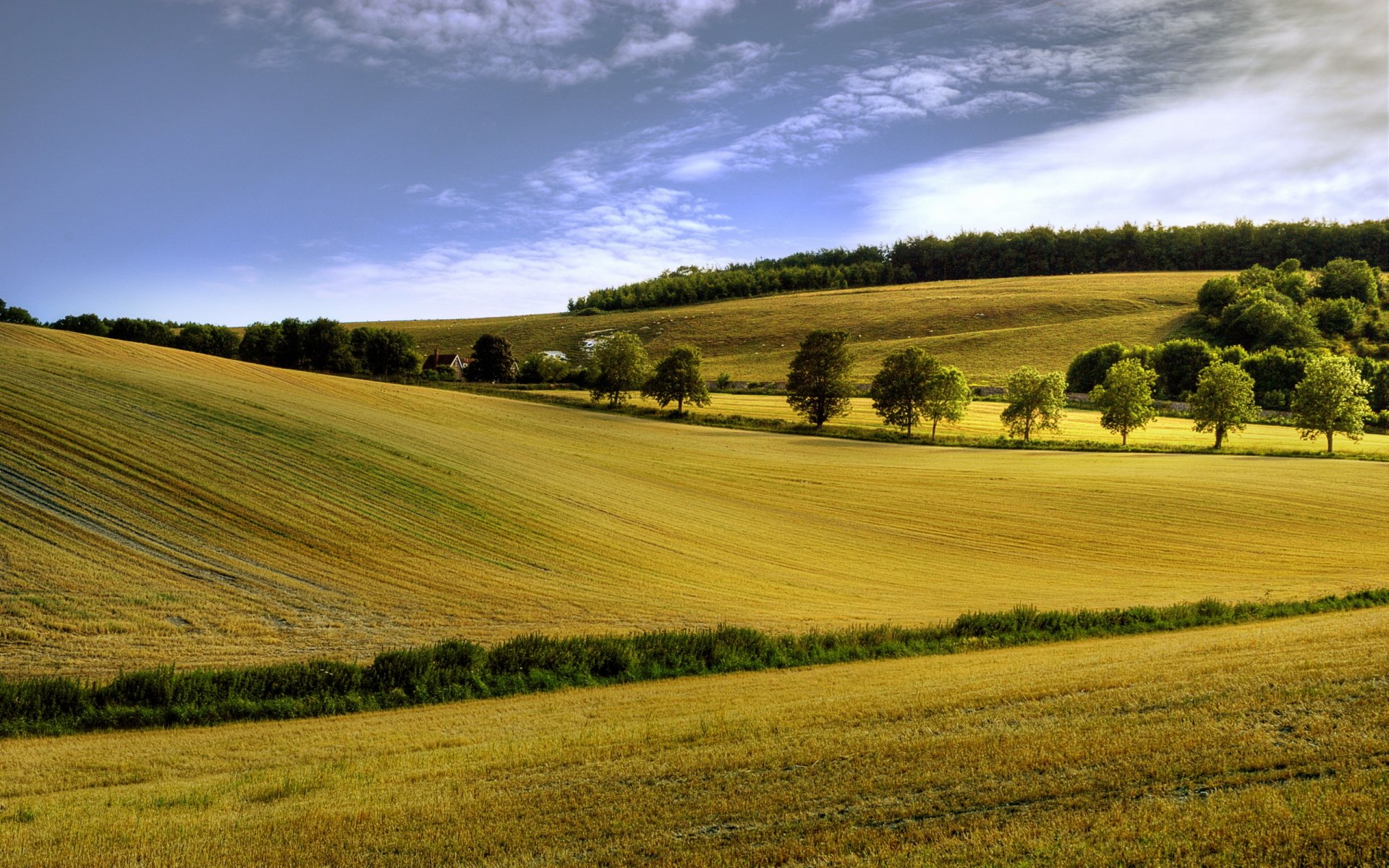 campo estate paesaggio