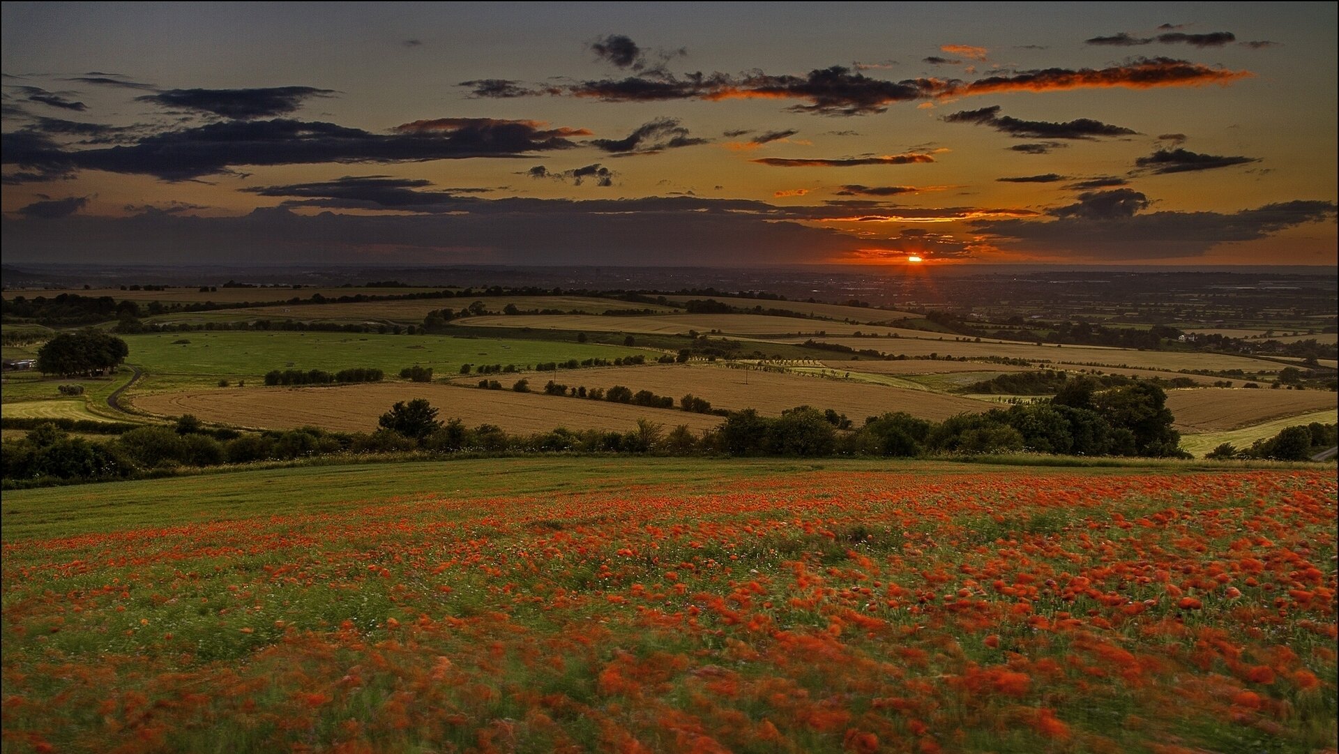 champs coucher de soleil coquelicots