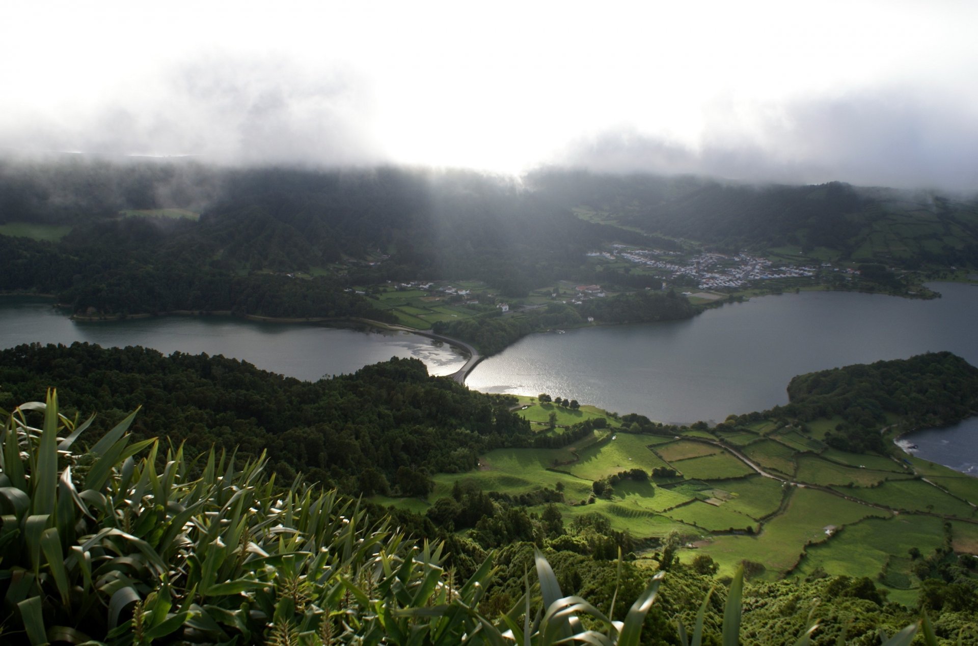 landschaft natur grün felder wiesen seen nebel