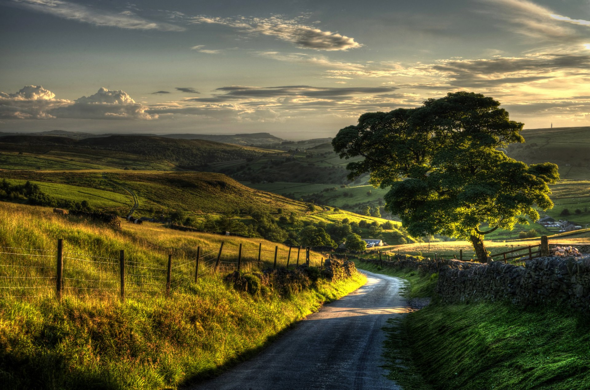 landschaft natur baum bäume blätter blätter laub grün gras zaun tor zaun zaun hügel hügel himmel hintergrund tapete widescreen vollbild widescreen widescreen