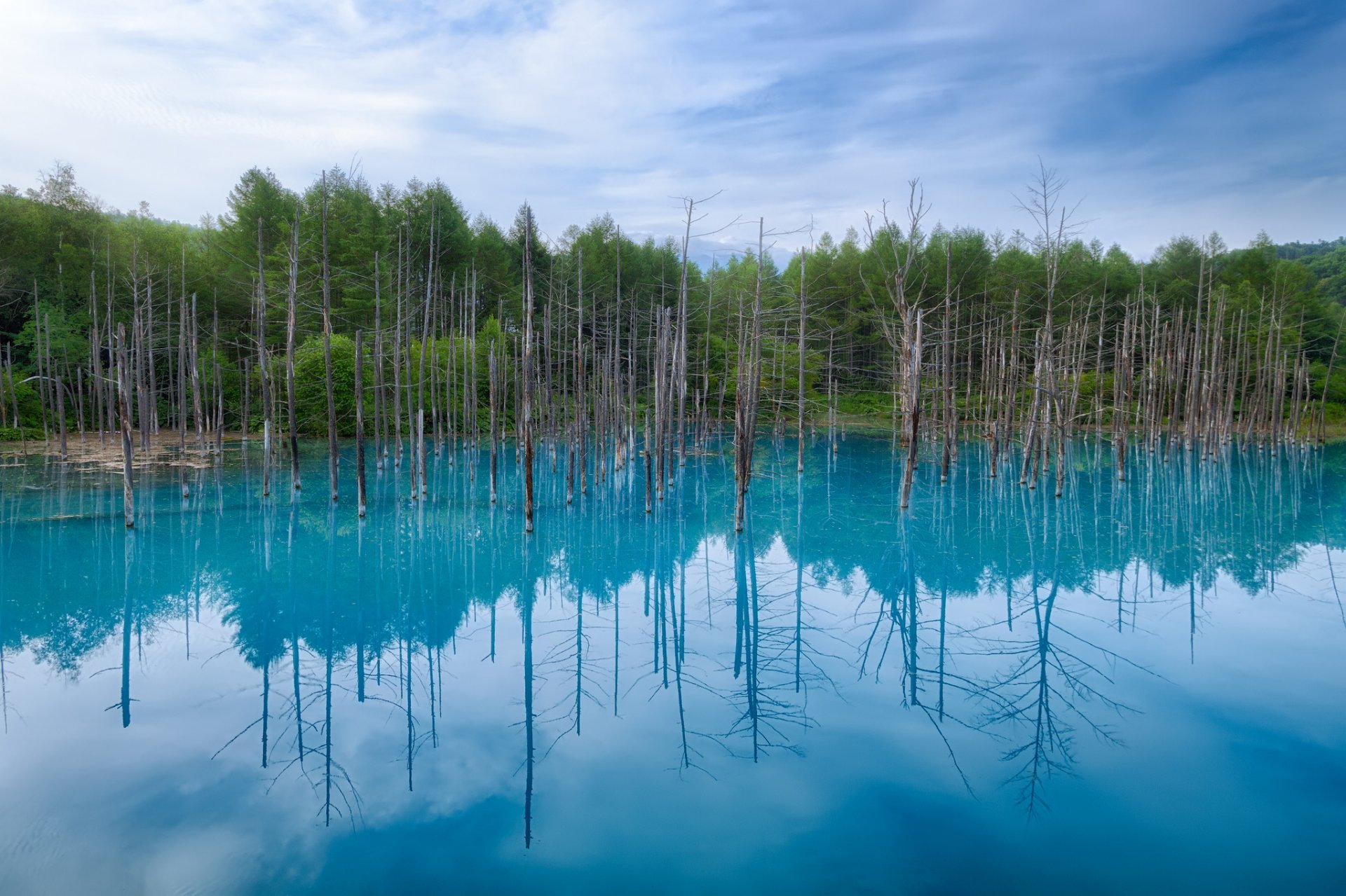 giappone hokkaido stagno blu riflessione alberi cielo nuvole stagno blu