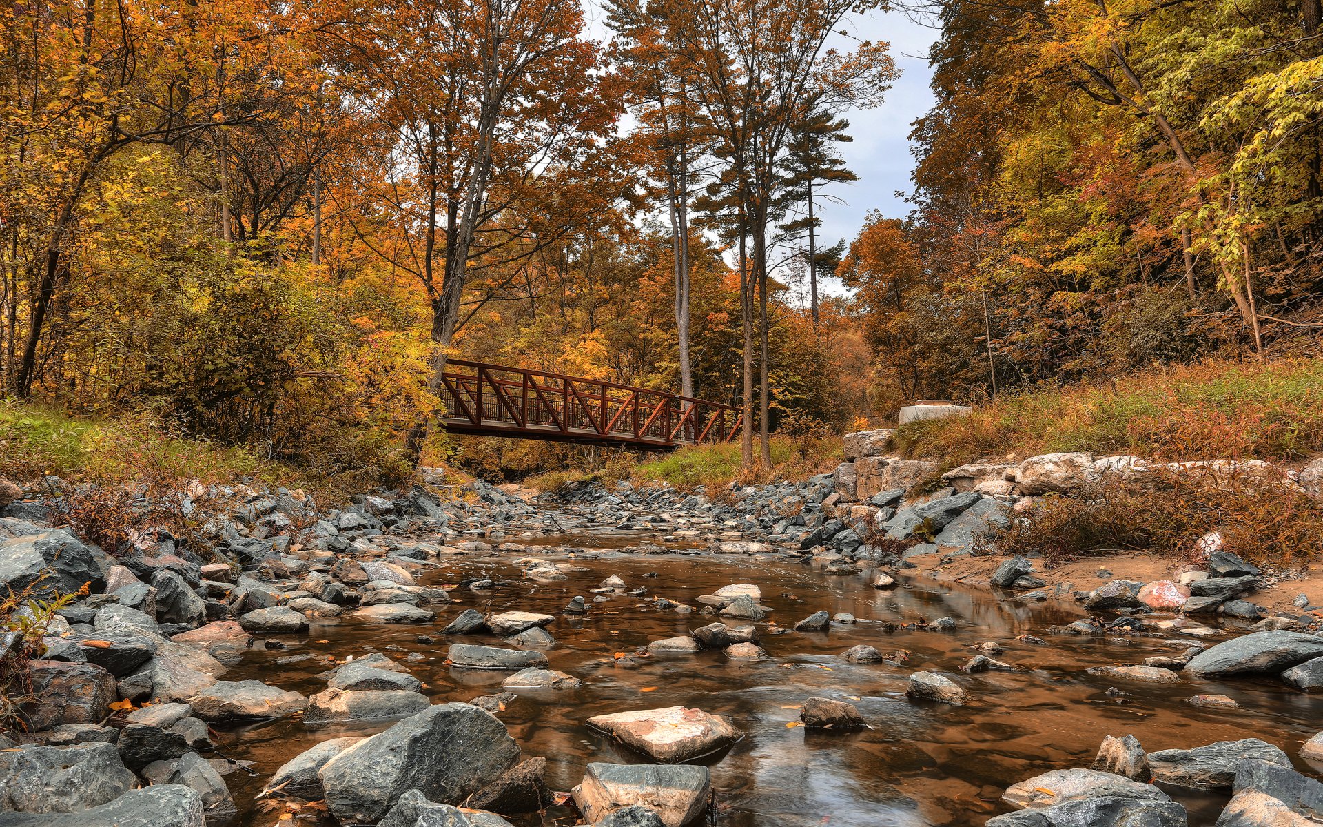 wilket creek park kanada fluss wald herbst brücke bäume steine