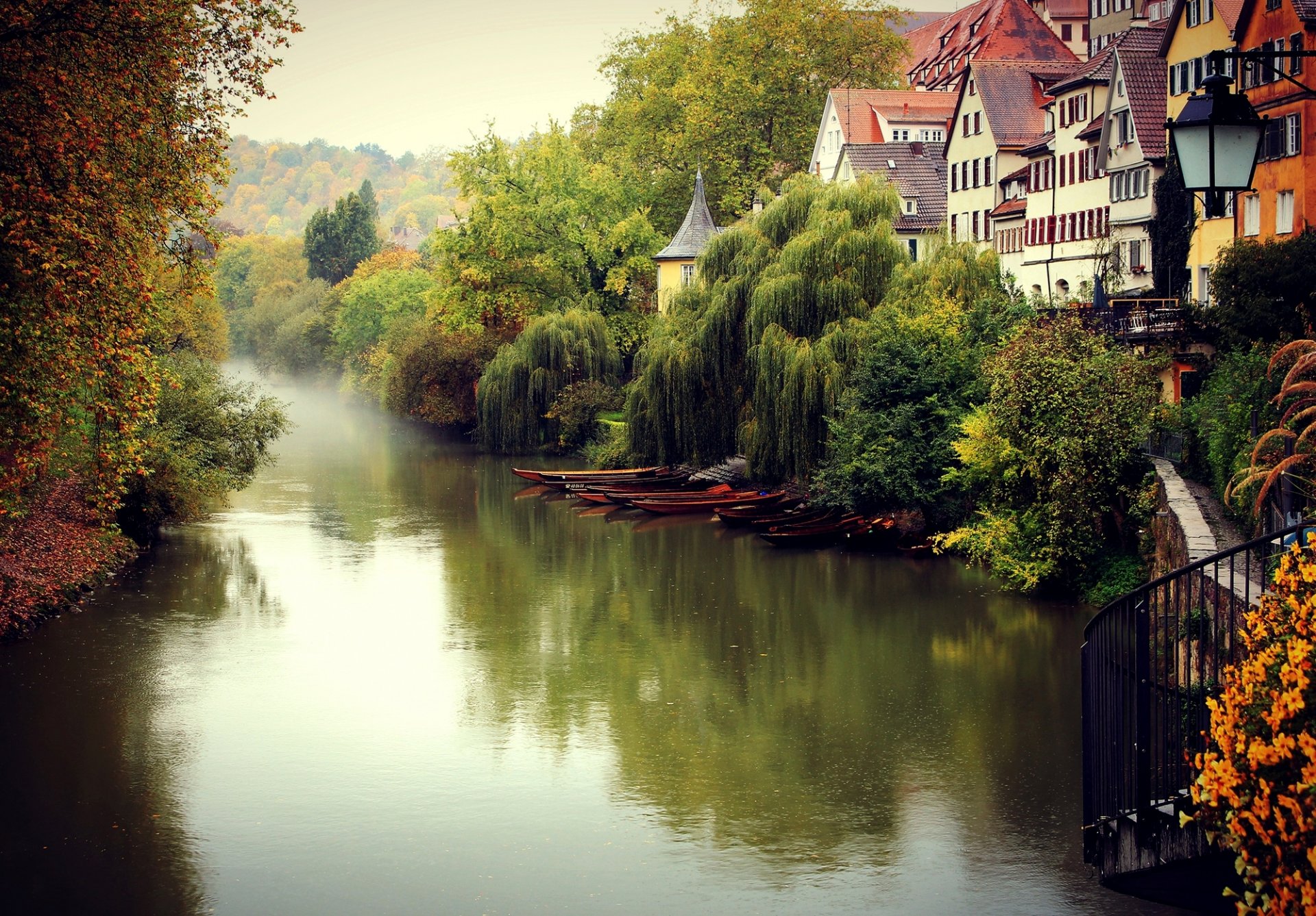 tübingen tubinga germania autunno nebbia città fiume alberi case edifici