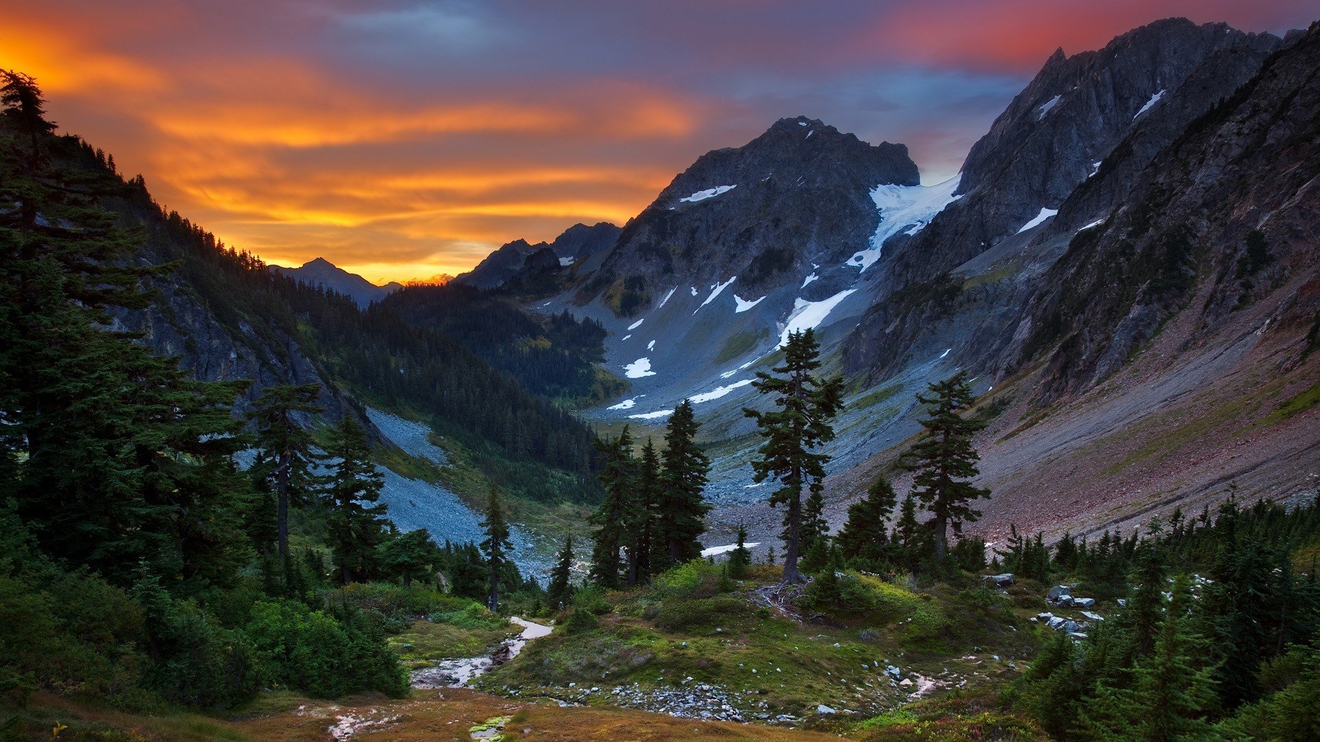 nature mountain forest view