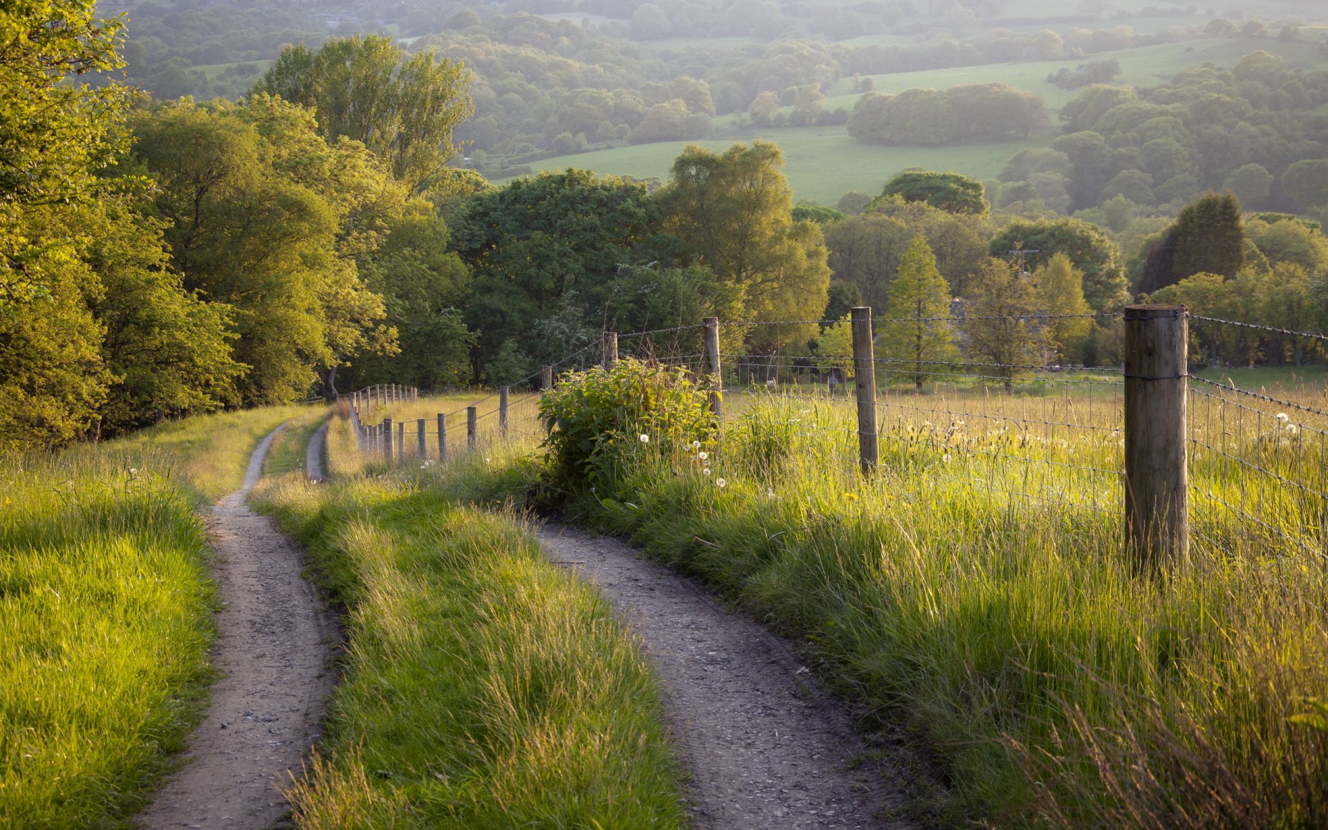 road fence summer landscape