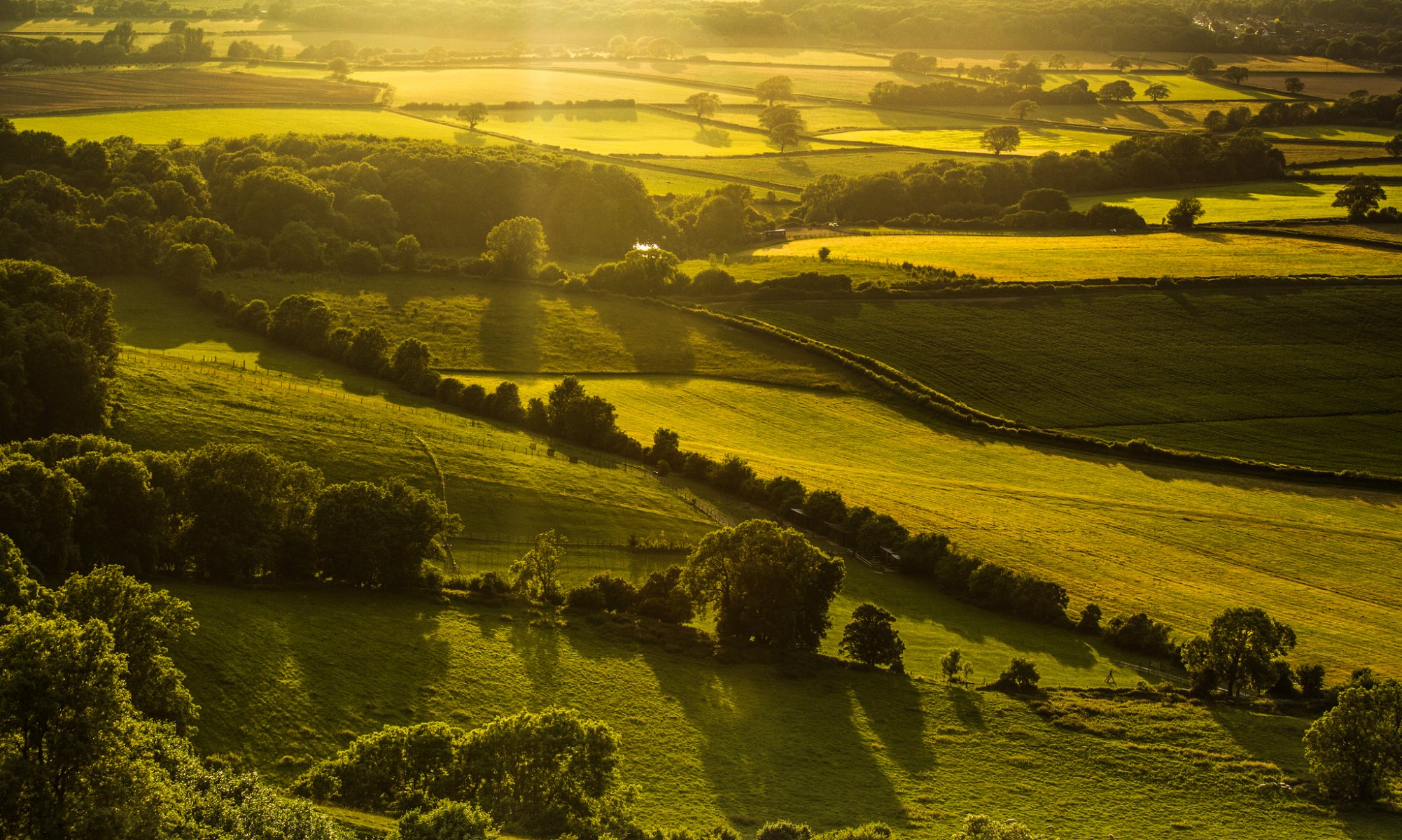 hassocks england großbritannien natur landschaft hügel feld grün bäume licht abend