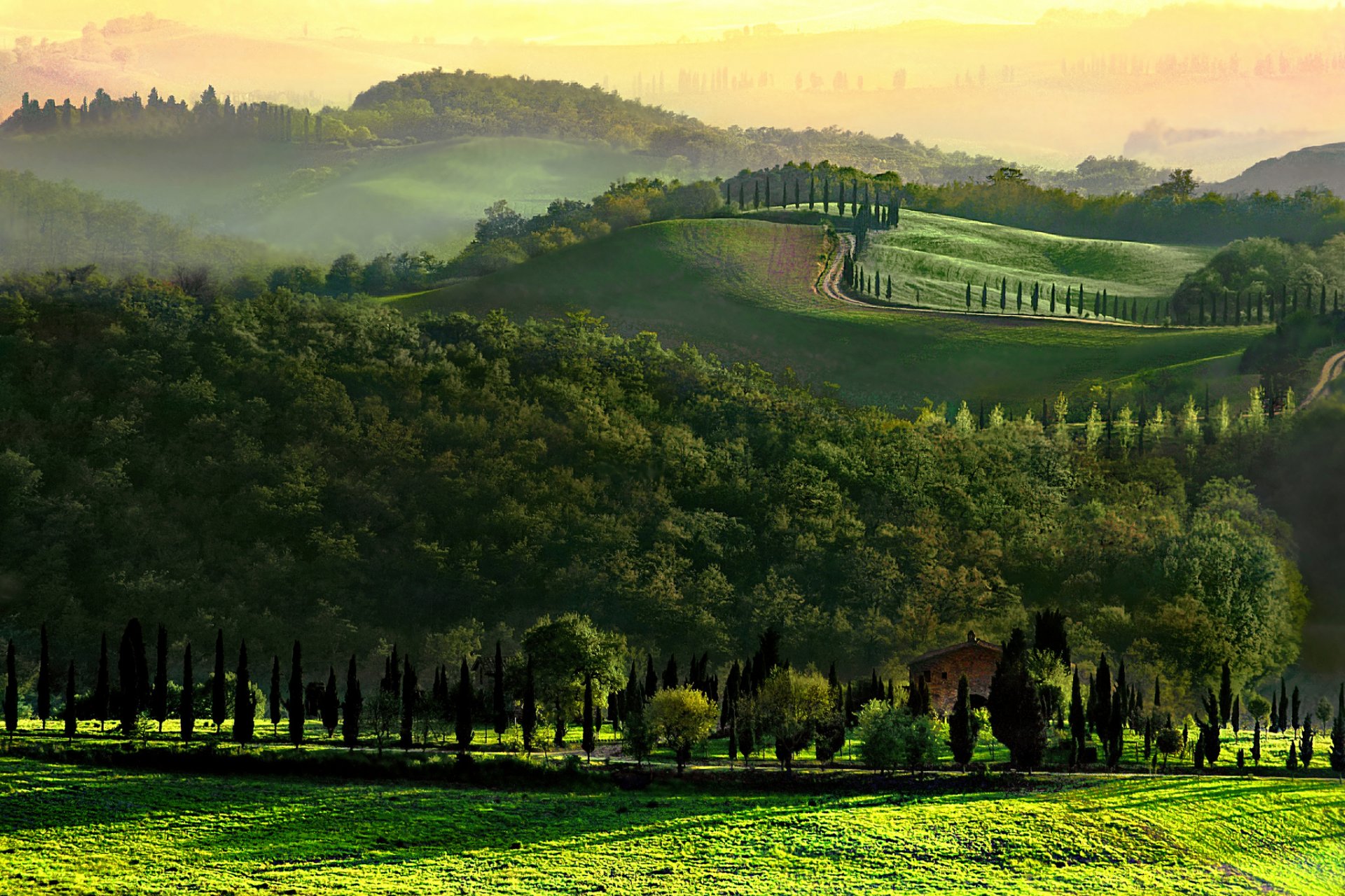 italy tuscany hills tree road morning