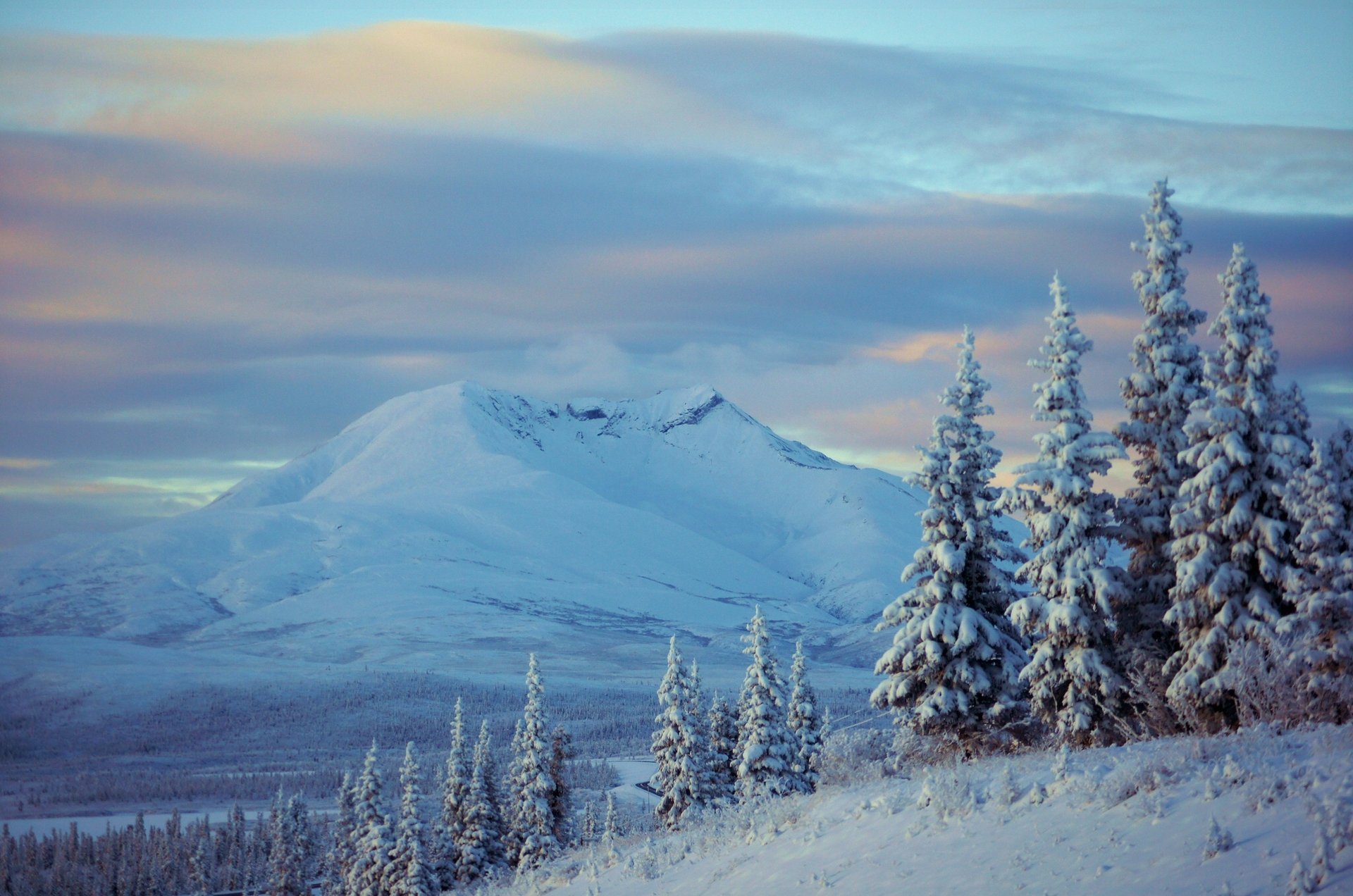 alaska winter snow mountain spruce tree