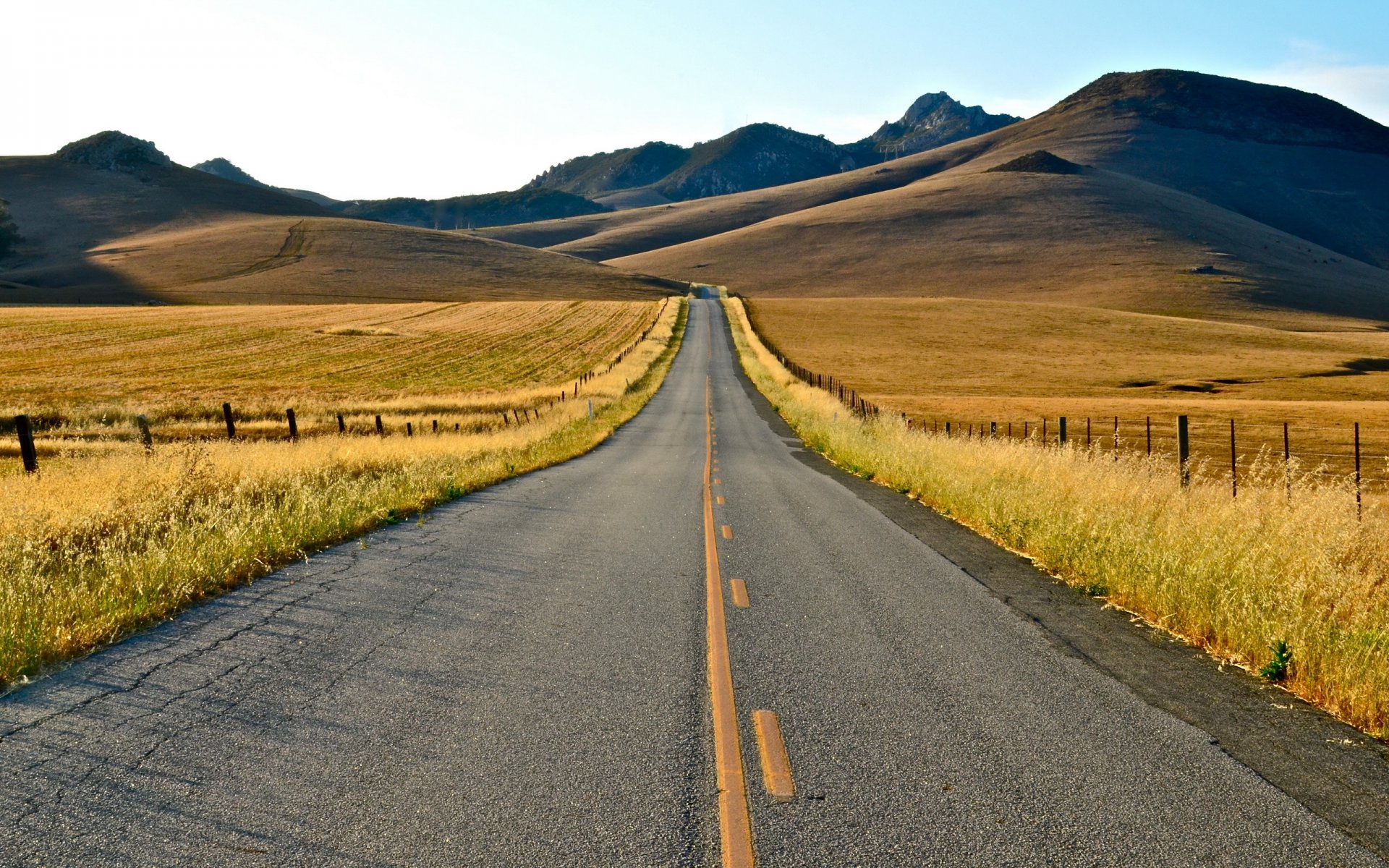 road summer landscape