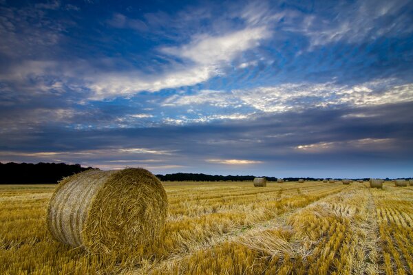 Hermosas nubes en un campo de heno