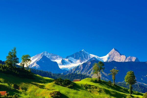 Houses among green hills on the background of snowy mountains