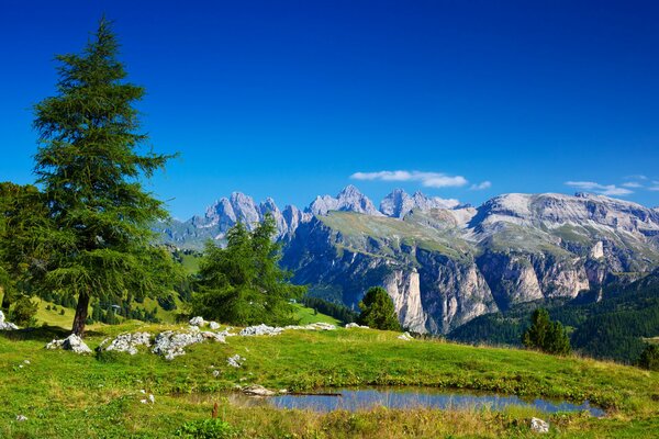 Зелёные деревья и озерцо на фоне Альпийских гор