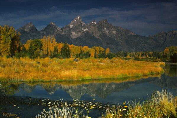 Autumn landscape with yellowing trees on the background of mountains