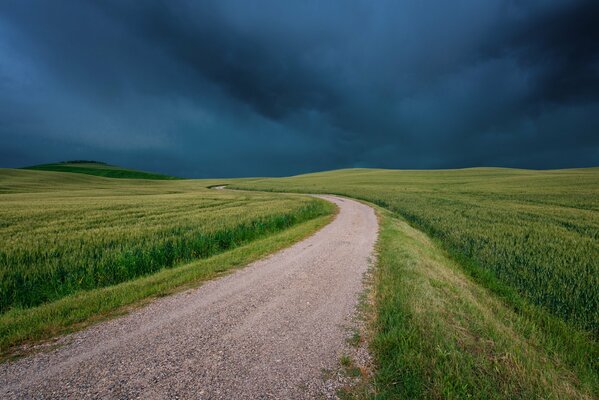 Paysage de Tuscana en Italie avec un champ vert, une longue route et un ciel sombre