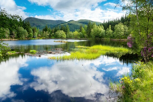 Nuages blancs se reflétant dans les lacs de l Ecosse sur fond d arbres verts