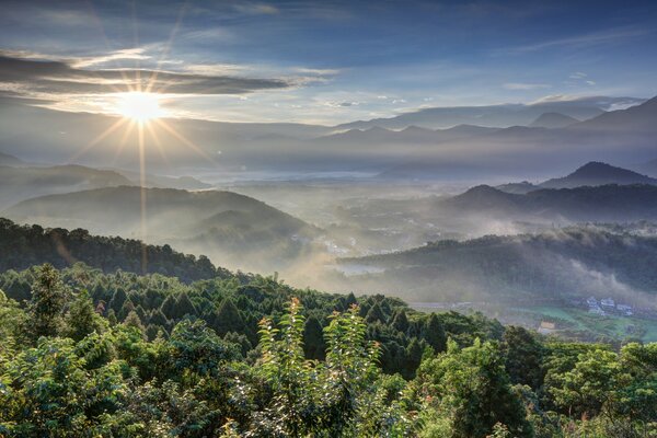 Lever du soleil sur la forêt dans les montagnes