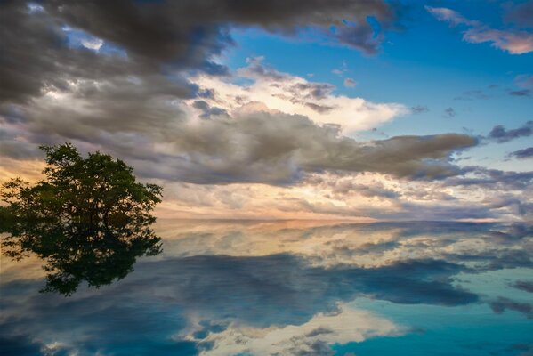 Ein See, in dem sich ein Baum und ein Oblok widerspiegeln