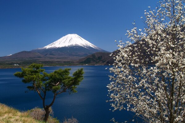 El Monte Fuji se eleva majestuosamente sobre el agua