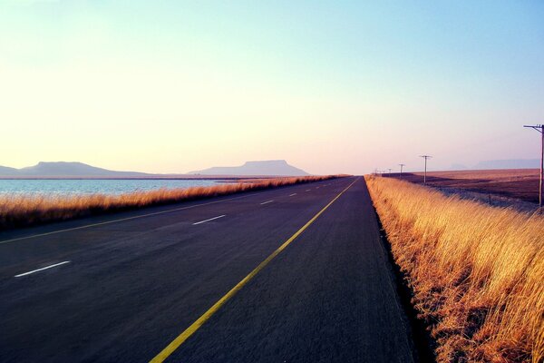 Camino pavimentado a lo largo de la hierba y el lago