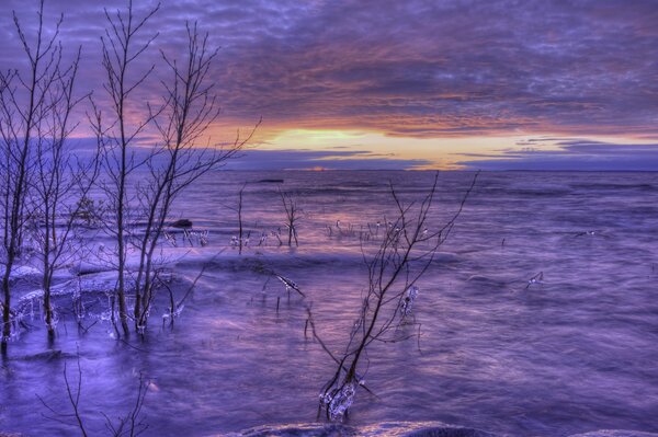 Coucher de soleil sur le lac dans les tons violets