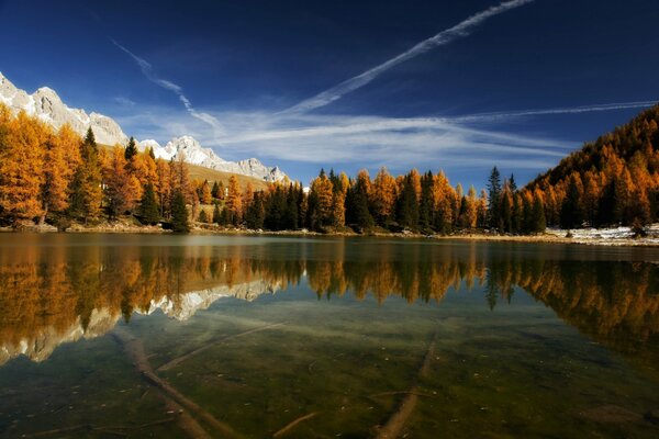 Reflejo del bosque y las montañas en el lago