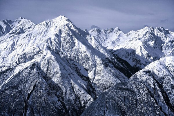 Kalte majestätische verschneite Alpen auf dem Foto
