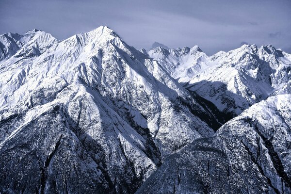 Cold majestic snowy Alps in photos