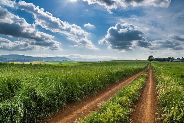 Route dans un champ avec de l herbe verte