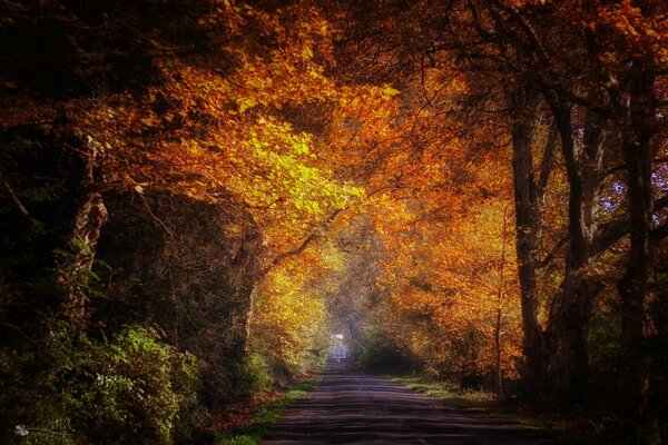 Feuerallee im Twilight Park. Zu