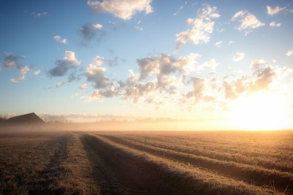 Morning landscape under the bright sun