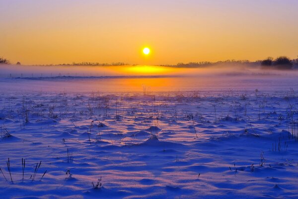 Winter sunrise in the tundra