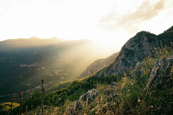 Hierba que crece en la ladera de las montañas