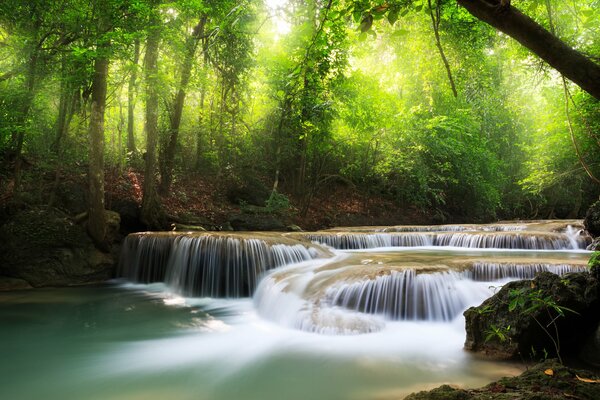 Cascate nelle fitte foreste