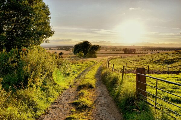 The road to the green meadow along the fence