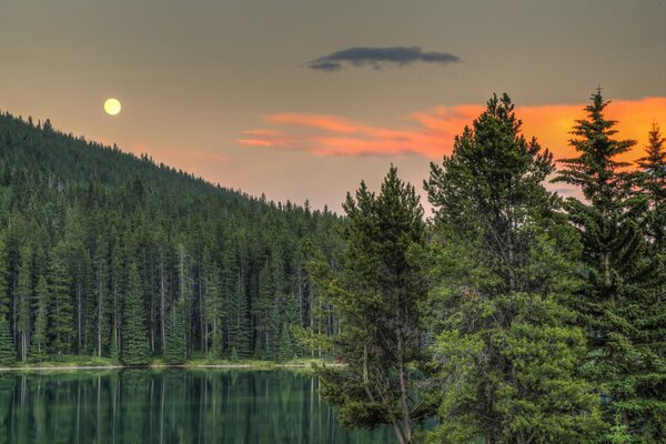 Der Wald und die Oberfläche des Sees bei Sonnenuntergang