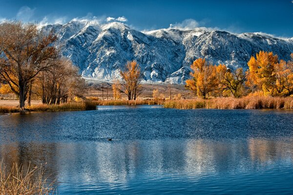 Blue lake surrounded by trees on the background of mountains