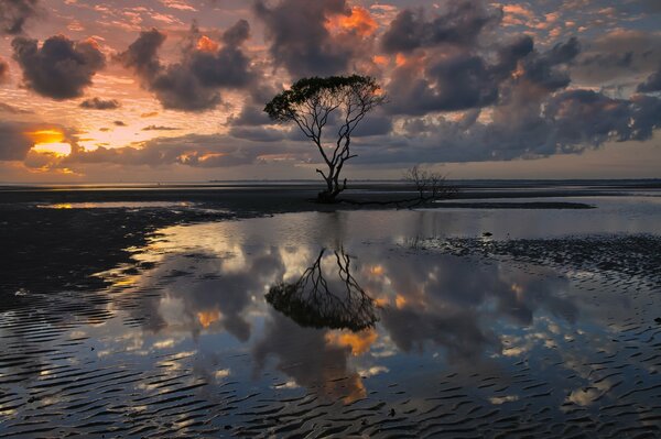 Australische Landschaft mit dunklen Wolken in Wasserreflexion mit der Silhouette eines einsamen Baumes