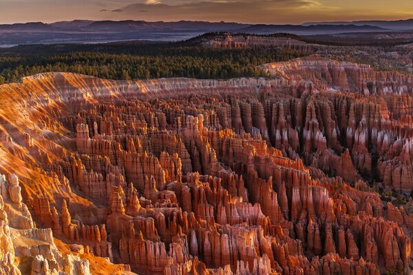 The cliffs of the canyon are very majestic