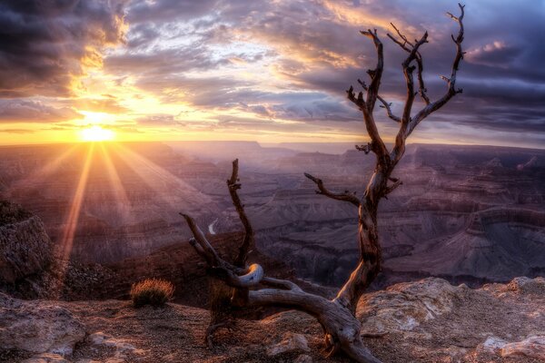 Foto del gran cañón al atardecer