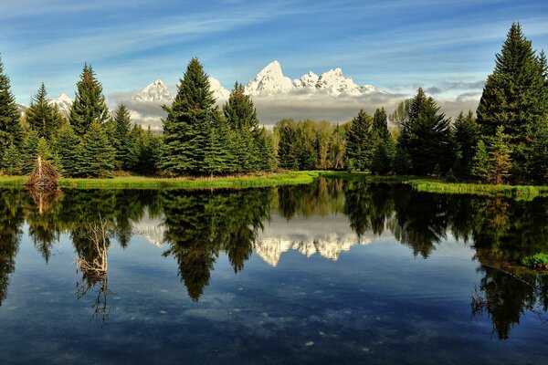 Blue sky and a lake in the middle of a green forest