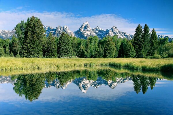 Reflexion von Wald und Bergen im reinsten See