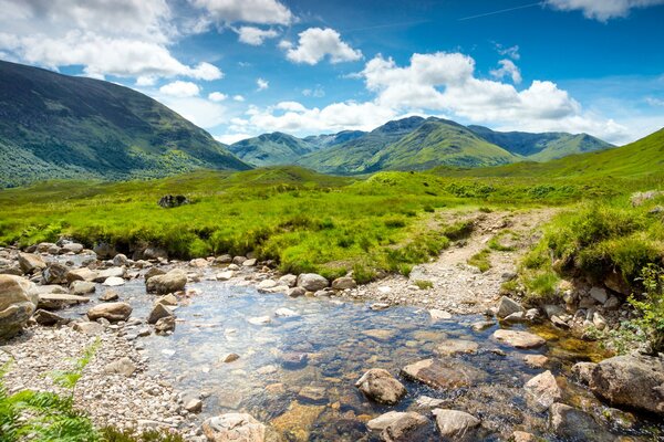 Transparent stream in the valley of the mountains