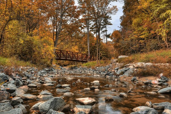 Parque de otoño dorado en Canadá